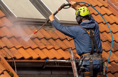 Démoussage et hydrofuge de toiture à Dore-l'Église